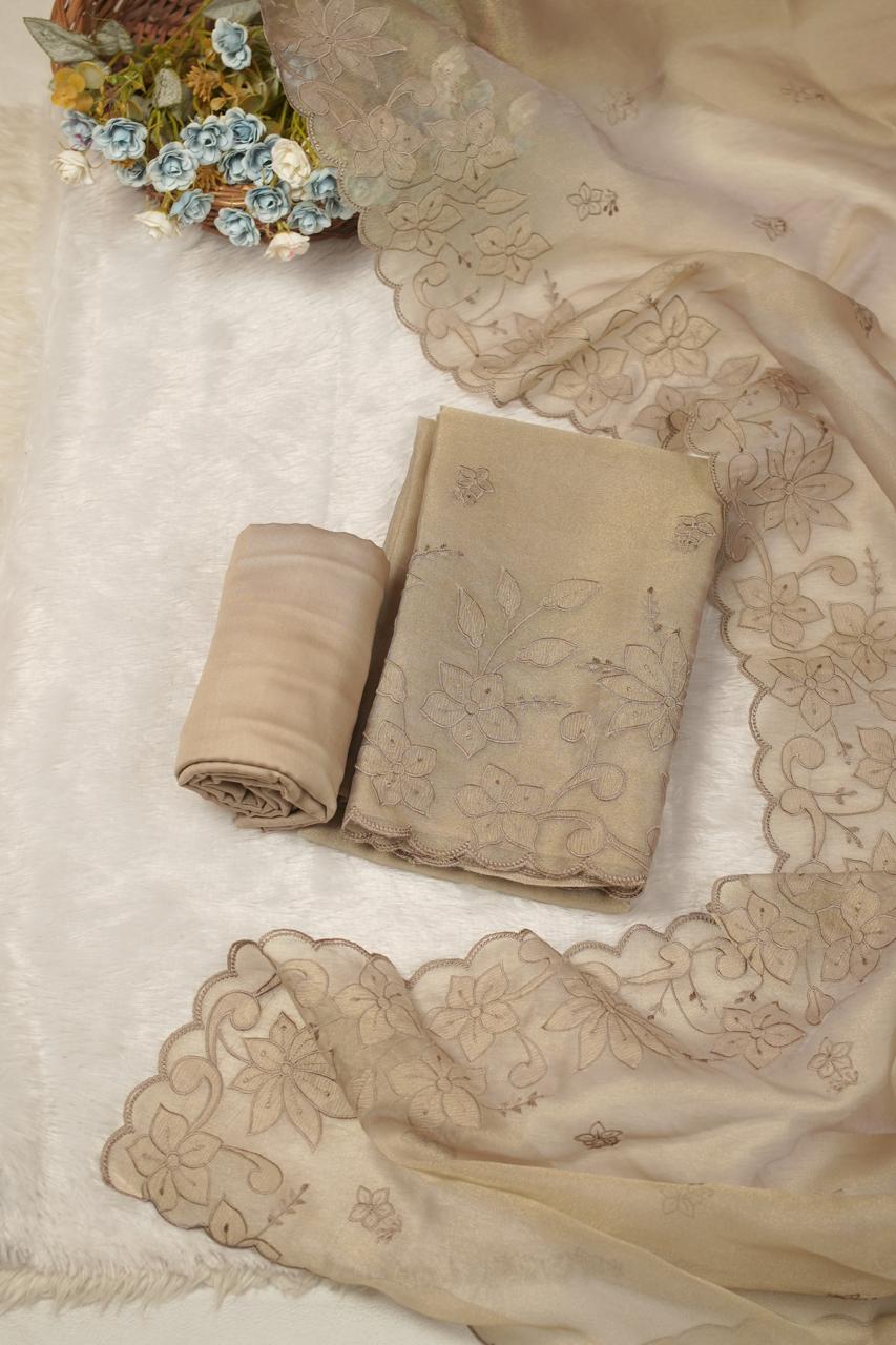 Tissue Organza Salwar TSS5673