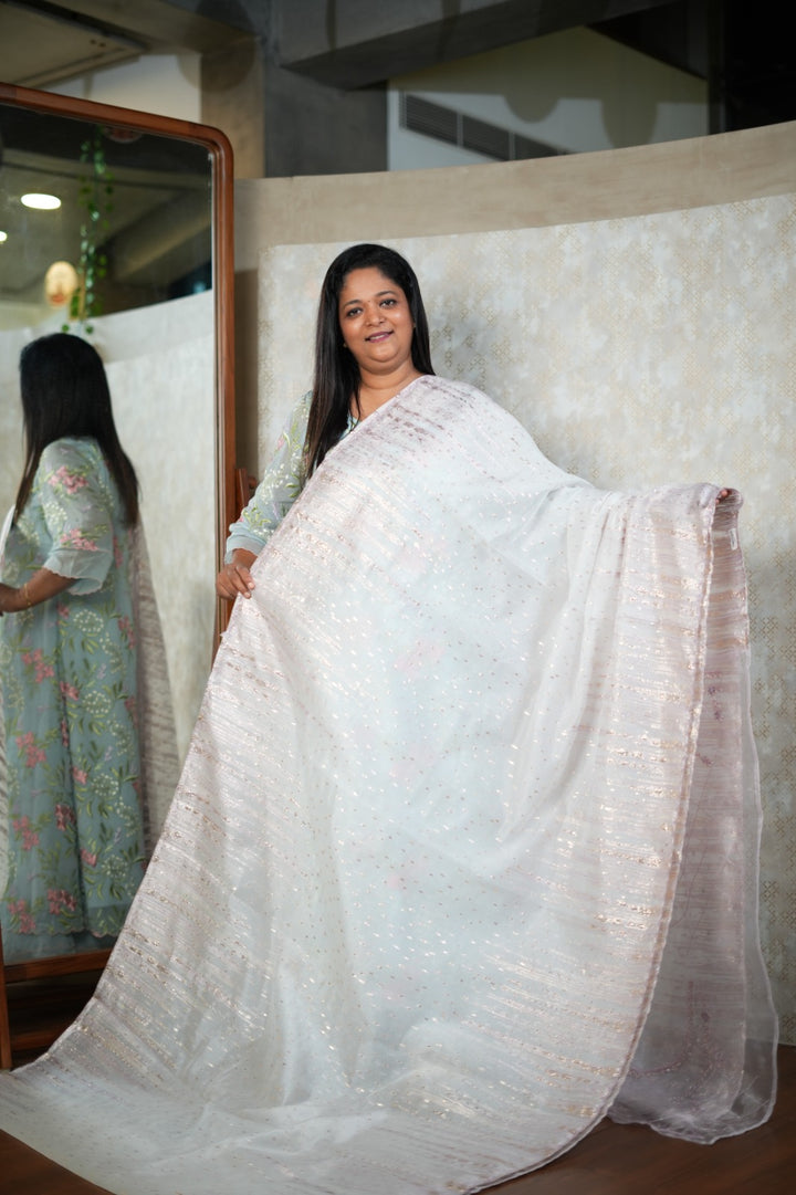 Turkish Organza Saree TSA5783