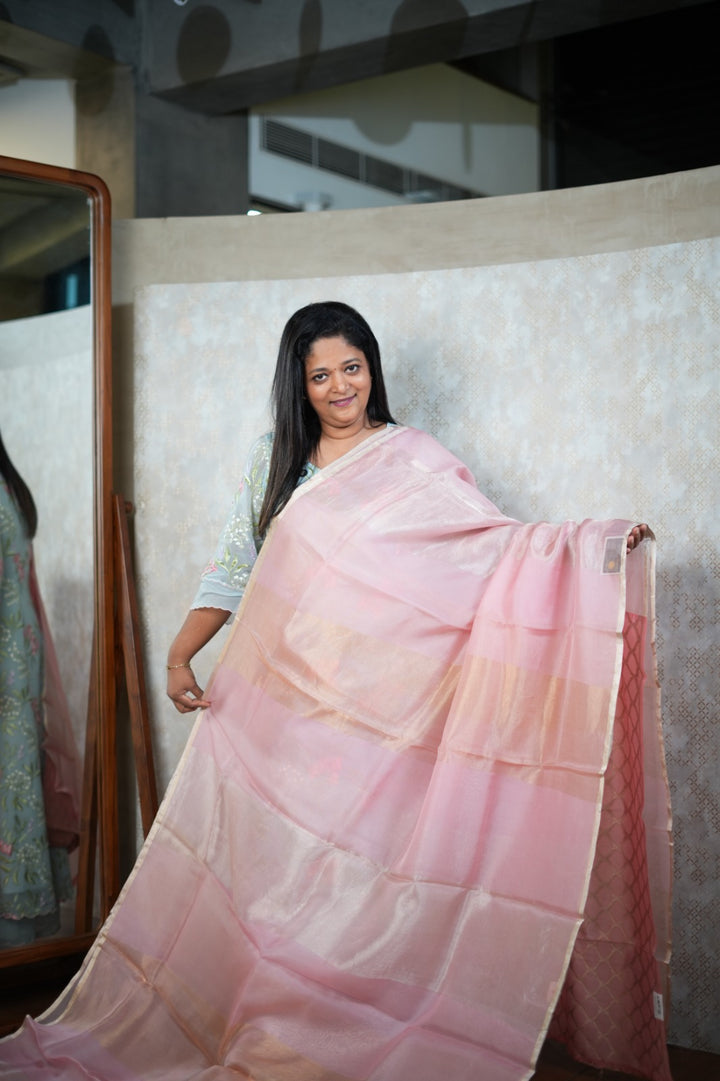 Organza Saree TSA5758
