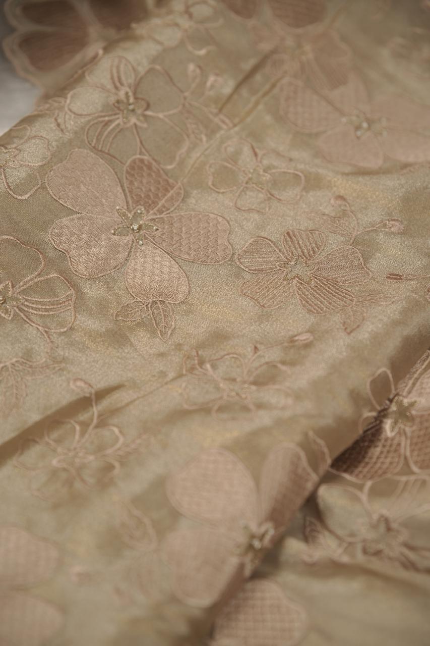 Tissue Organza Salwar TSS5677