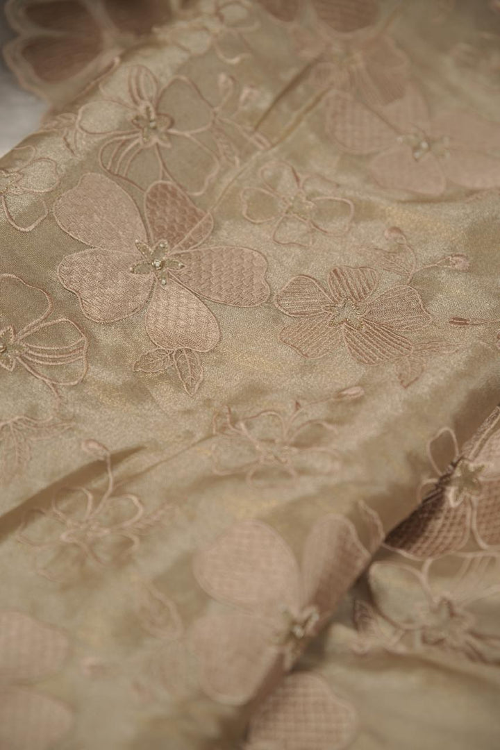 Tissue Organza Salwar TSS5677