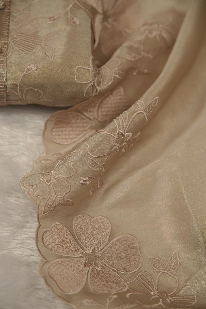 Tissue Organza Salwar TSS5677