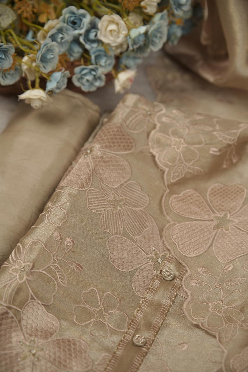 Tissue Organza Salwar TSS5677