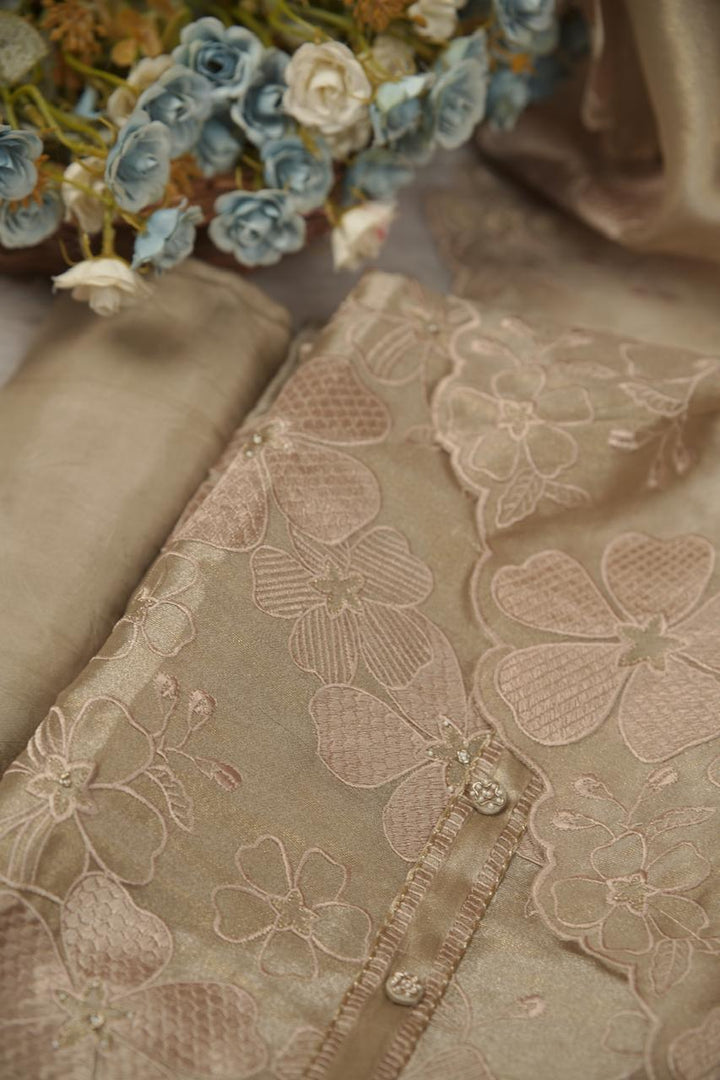 Tissue Organza Salwar TSS5677