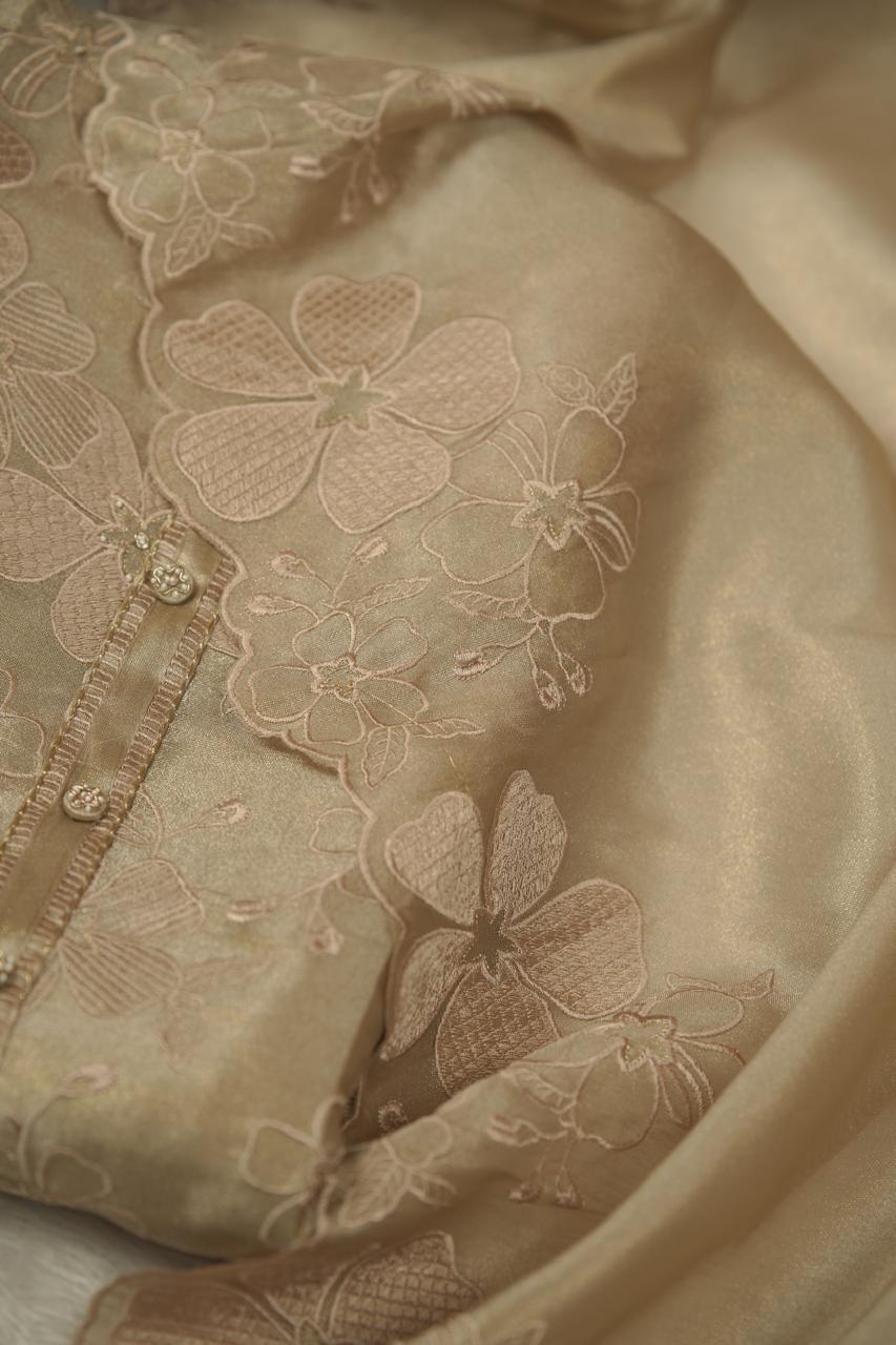 Tissue Organza Salwar TSS5677