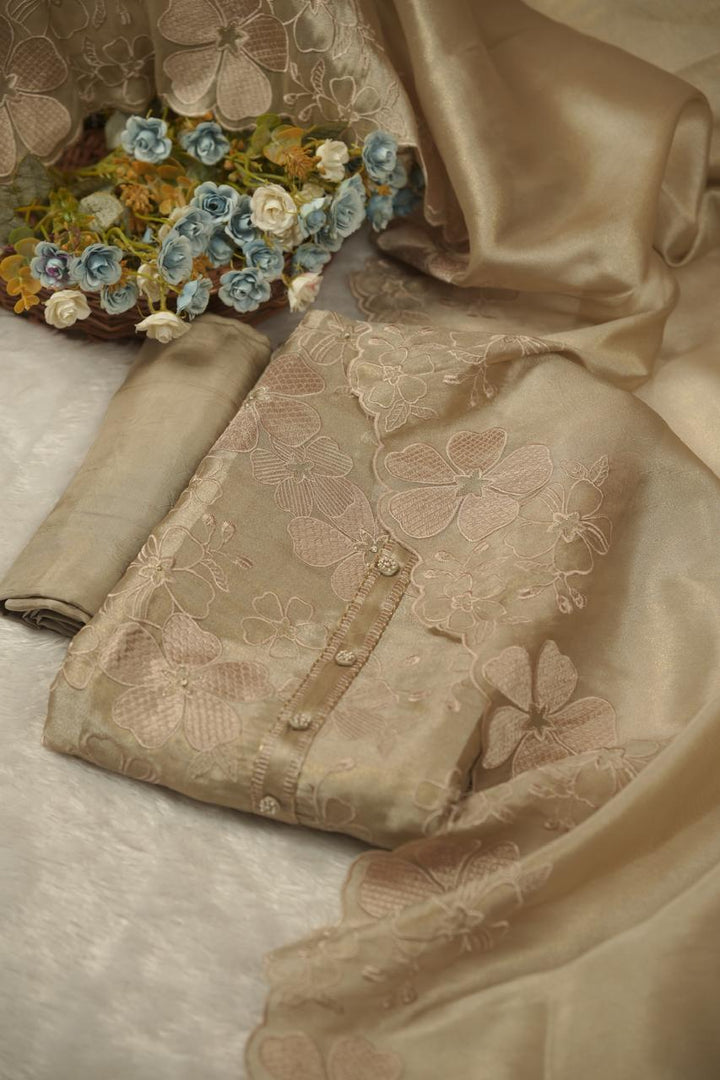 Tissue Organza Salwar TSS5677