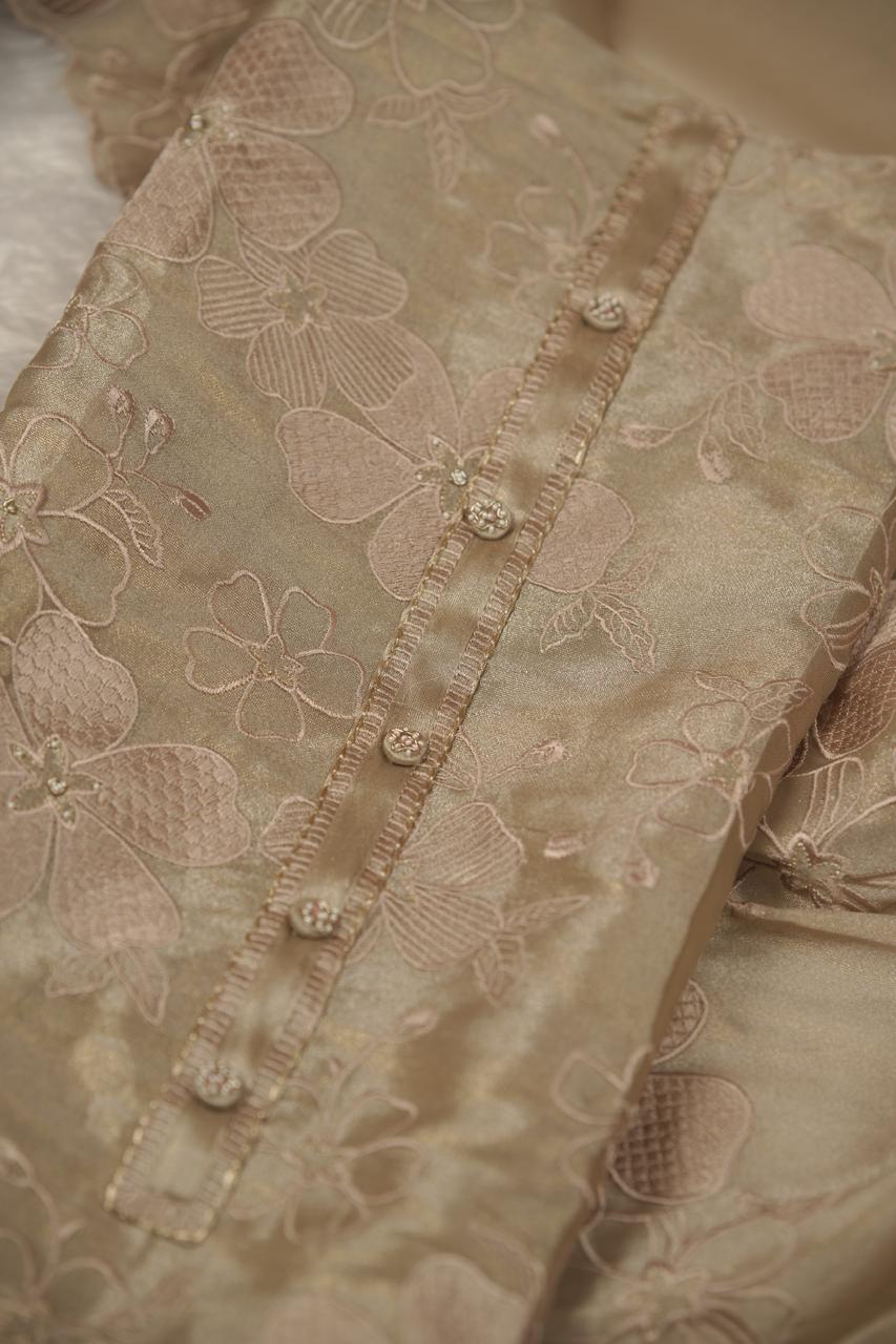 Tissue Organza Salwar TSS5677