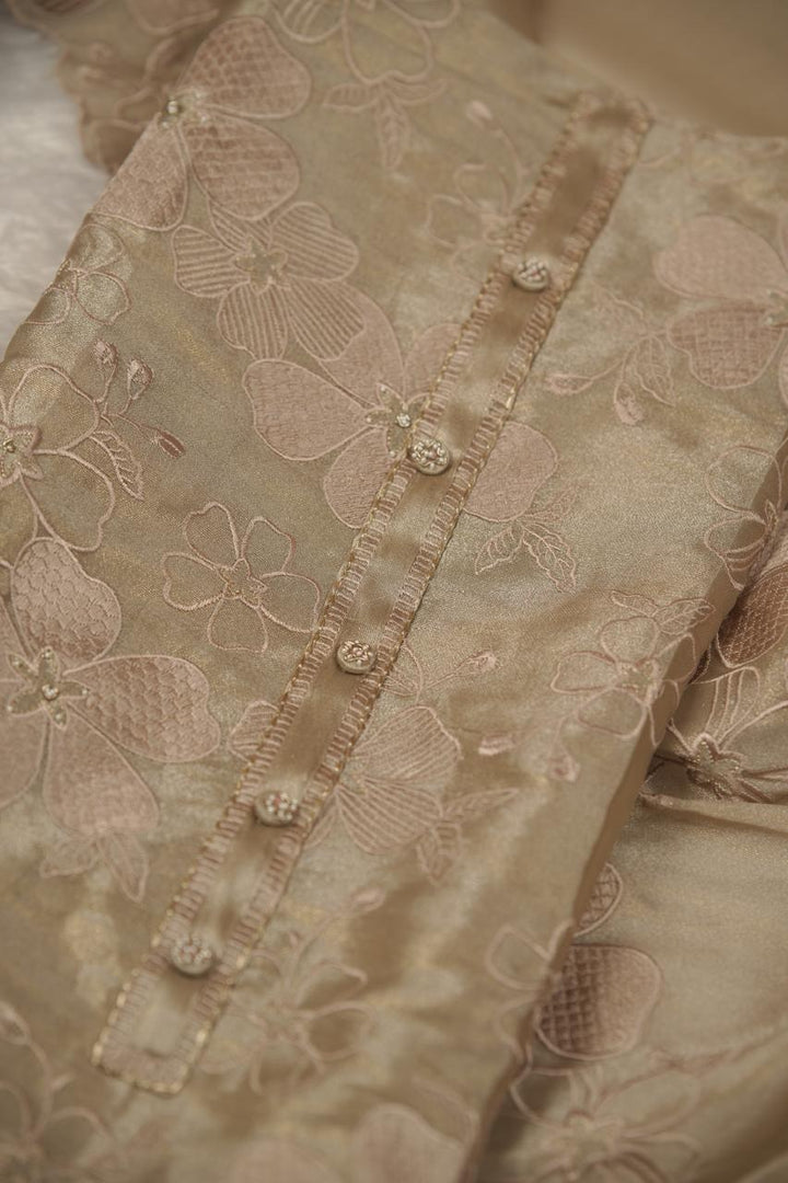 Tissue Organza Salwar TSS5677