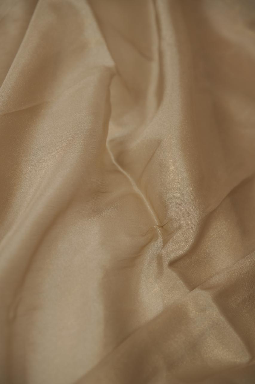 Tissue Organza Salwar TSS5677