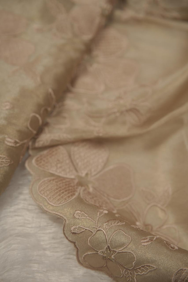 Tissue Organza Salwar TSS5677