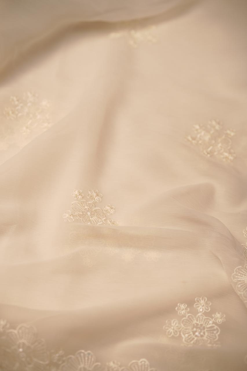 Crushed Chinnon Saree TSA5680