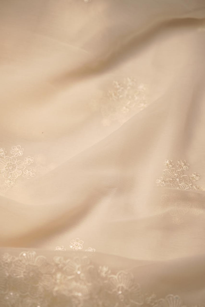 Crushed Chinnon Saree TSA5680