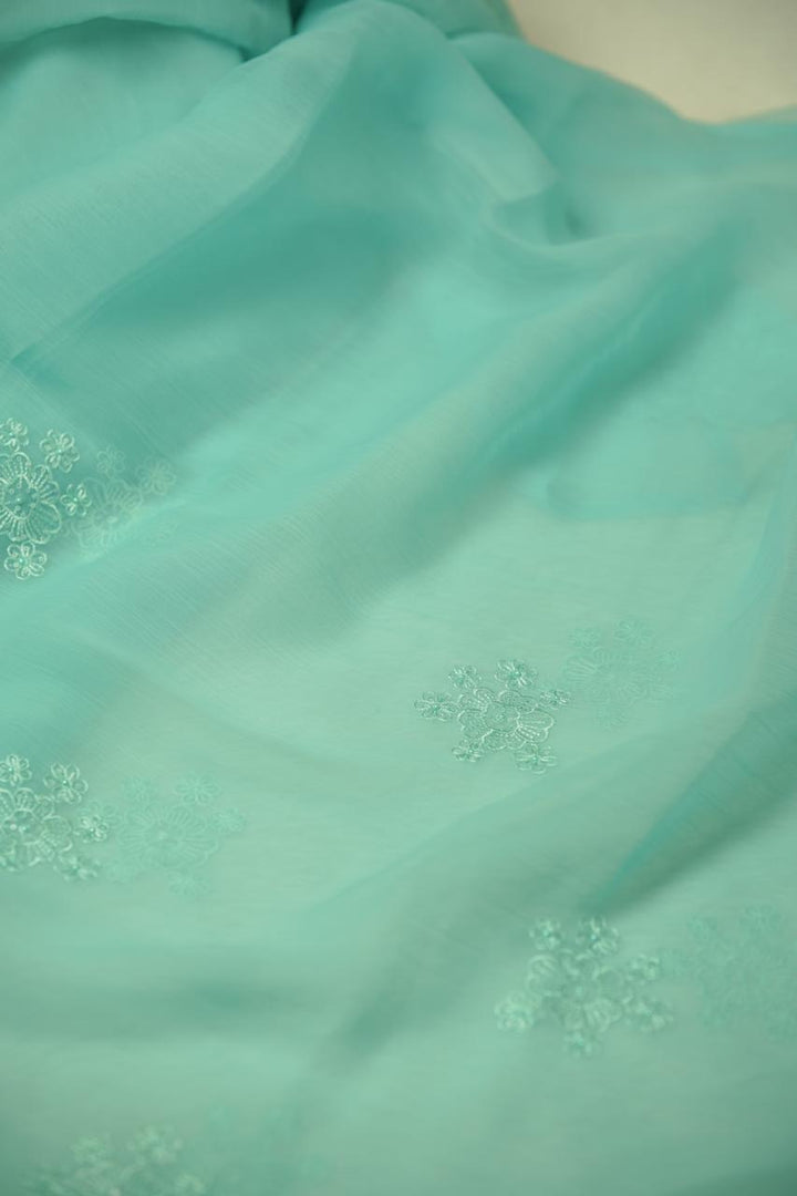 Crushed Chinnon Saree TSA5680