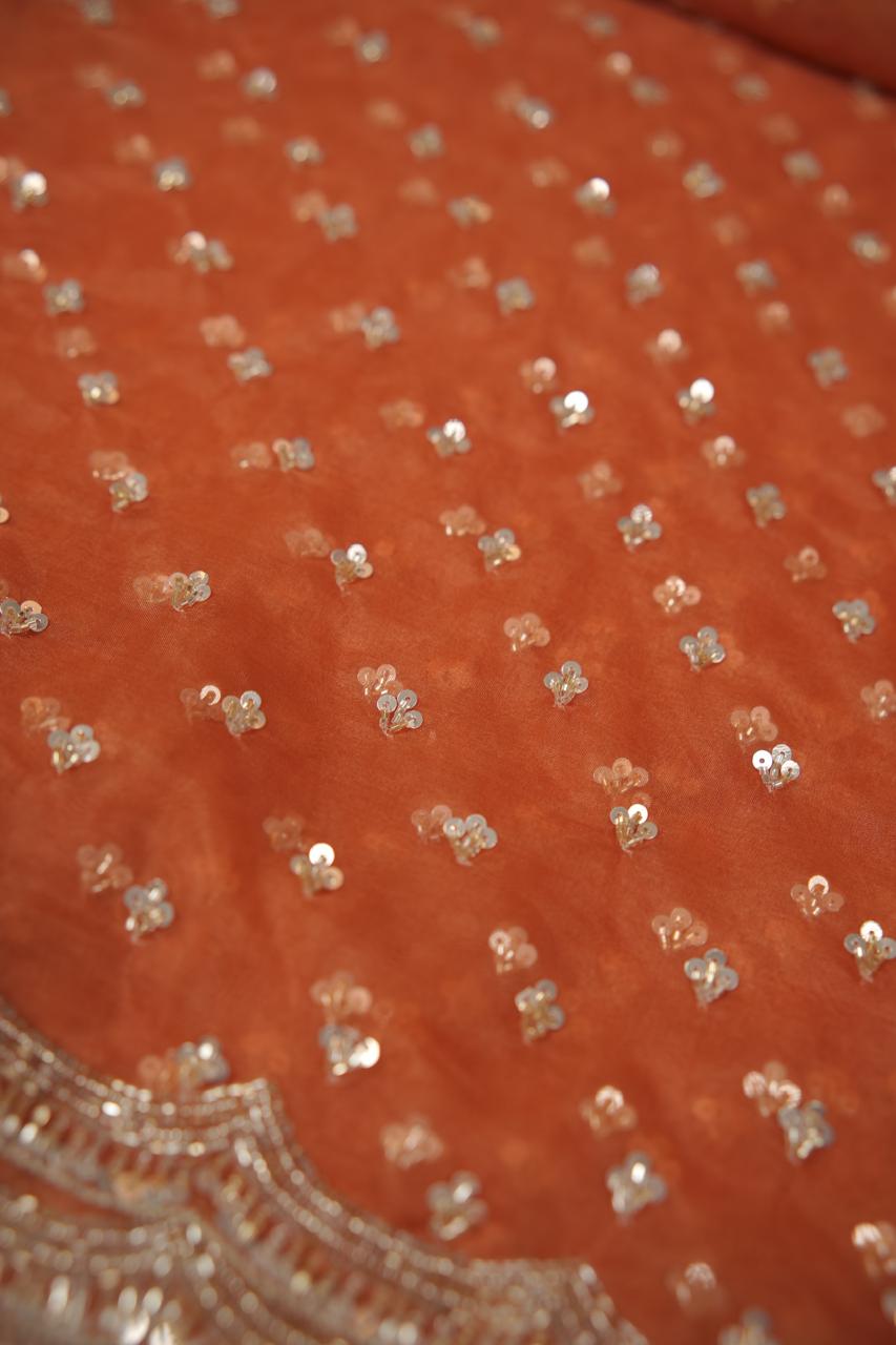 Organza Saree TSA5675