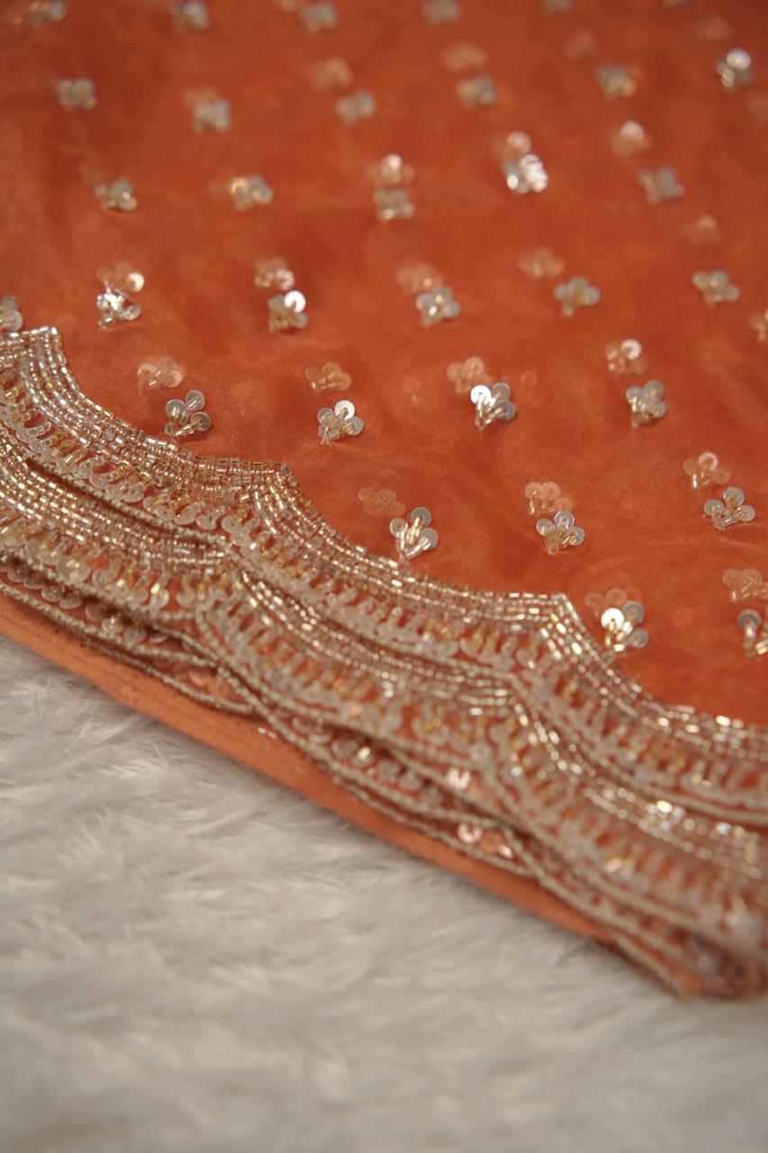 Organza Saree TSA5675