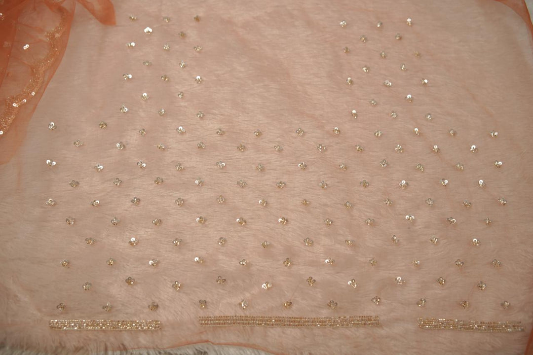 Organza Saree TSA5675