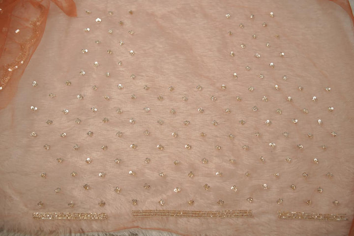 Organza Saree TSA5675