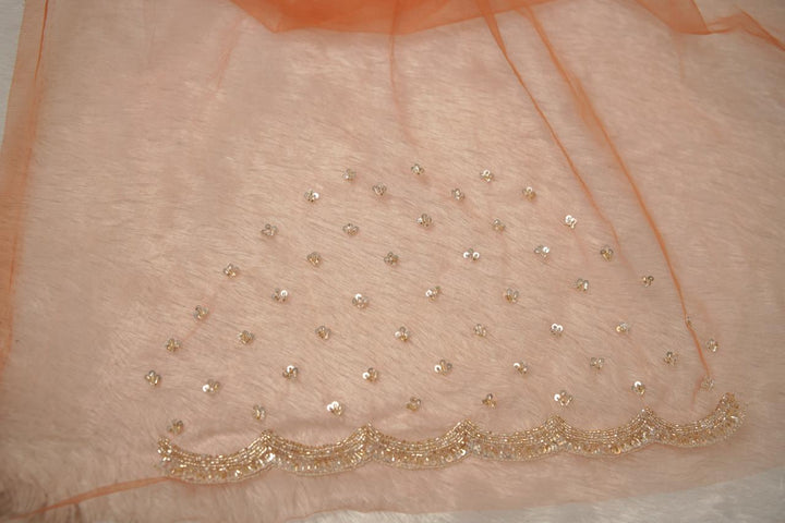 Organza Saree TSA5675