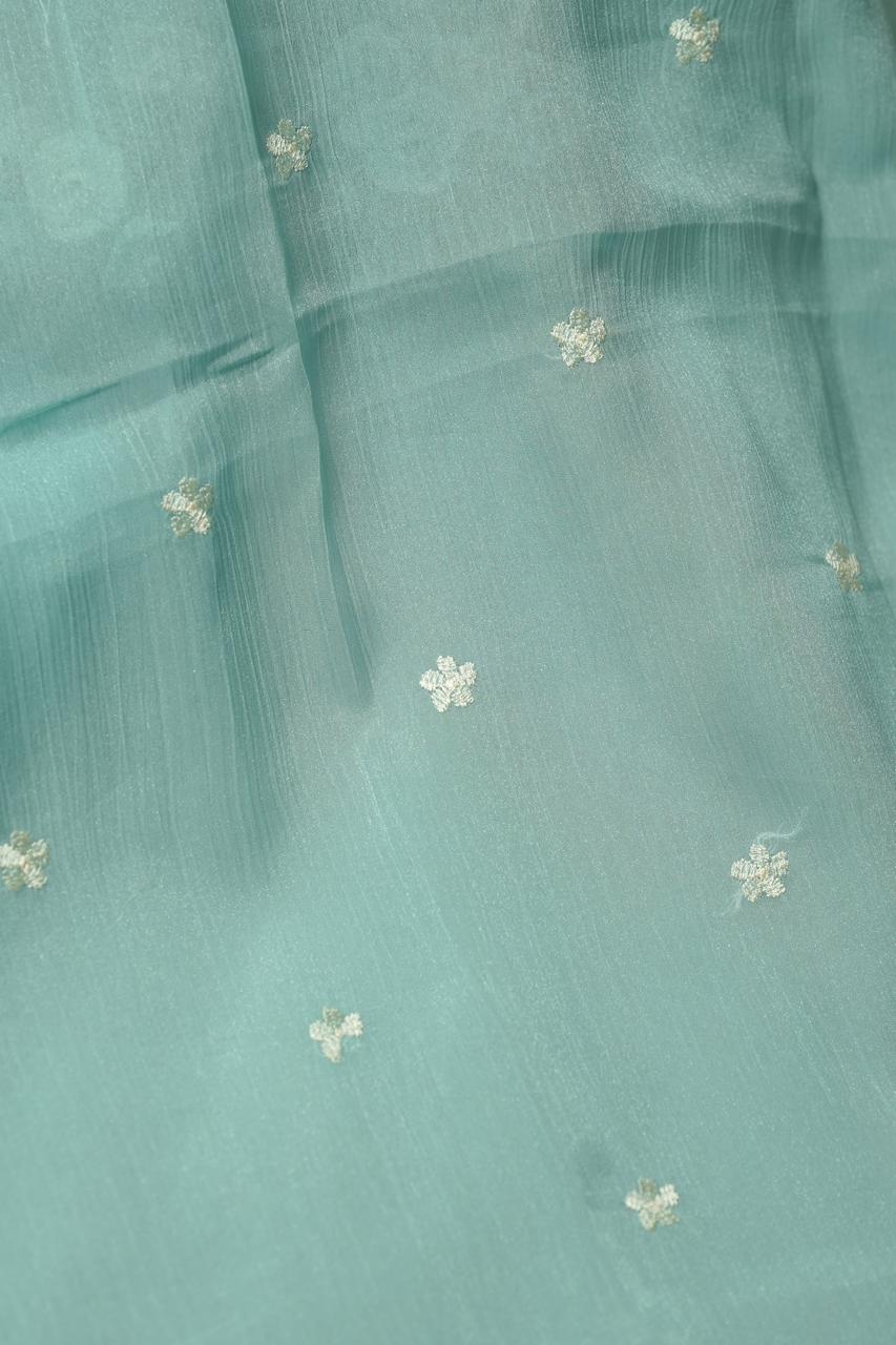 Crushed organza salwar TSS01152