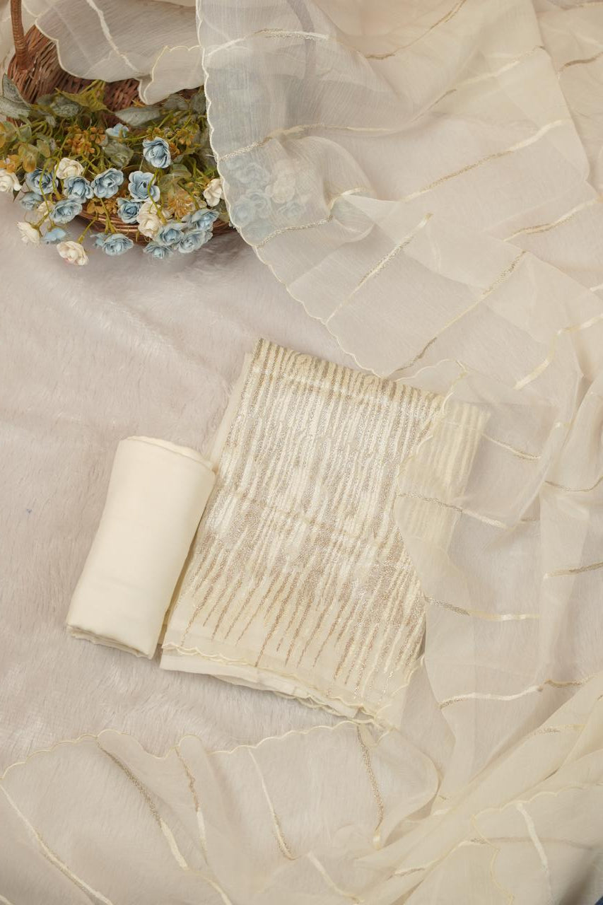 Crushed Organza Salwar TSS5689