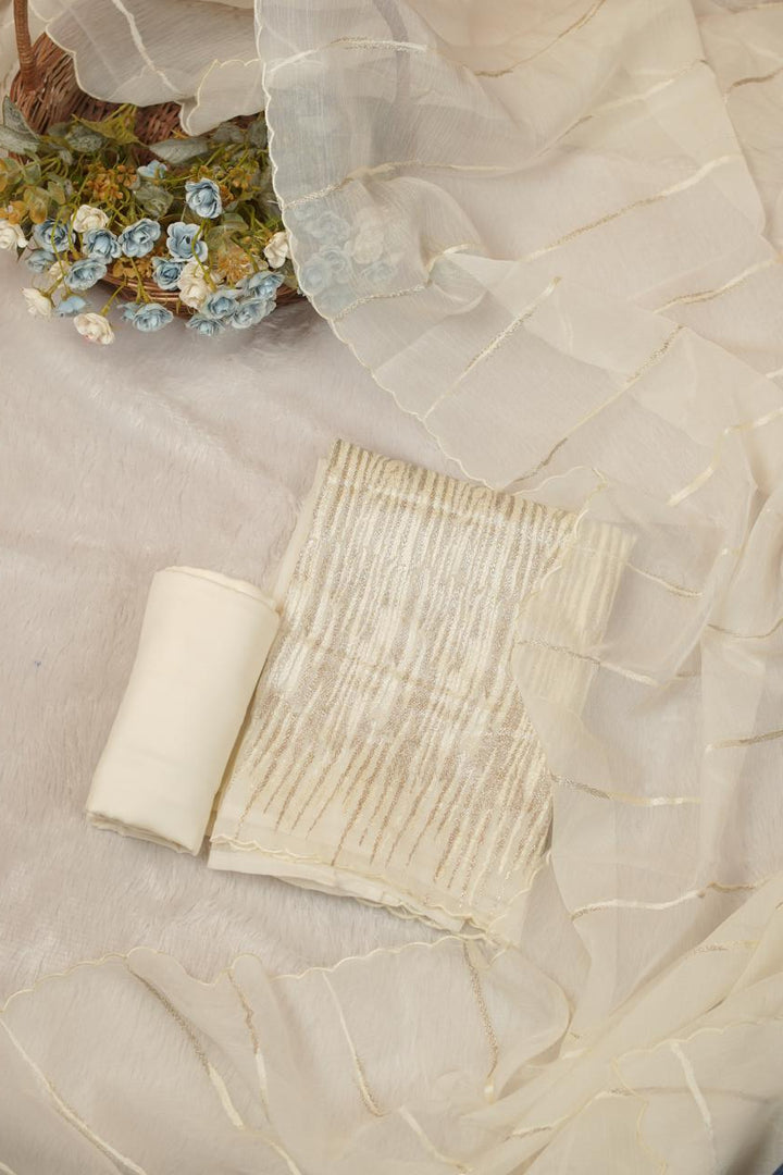 Crushed Organza Salwar TSS5689