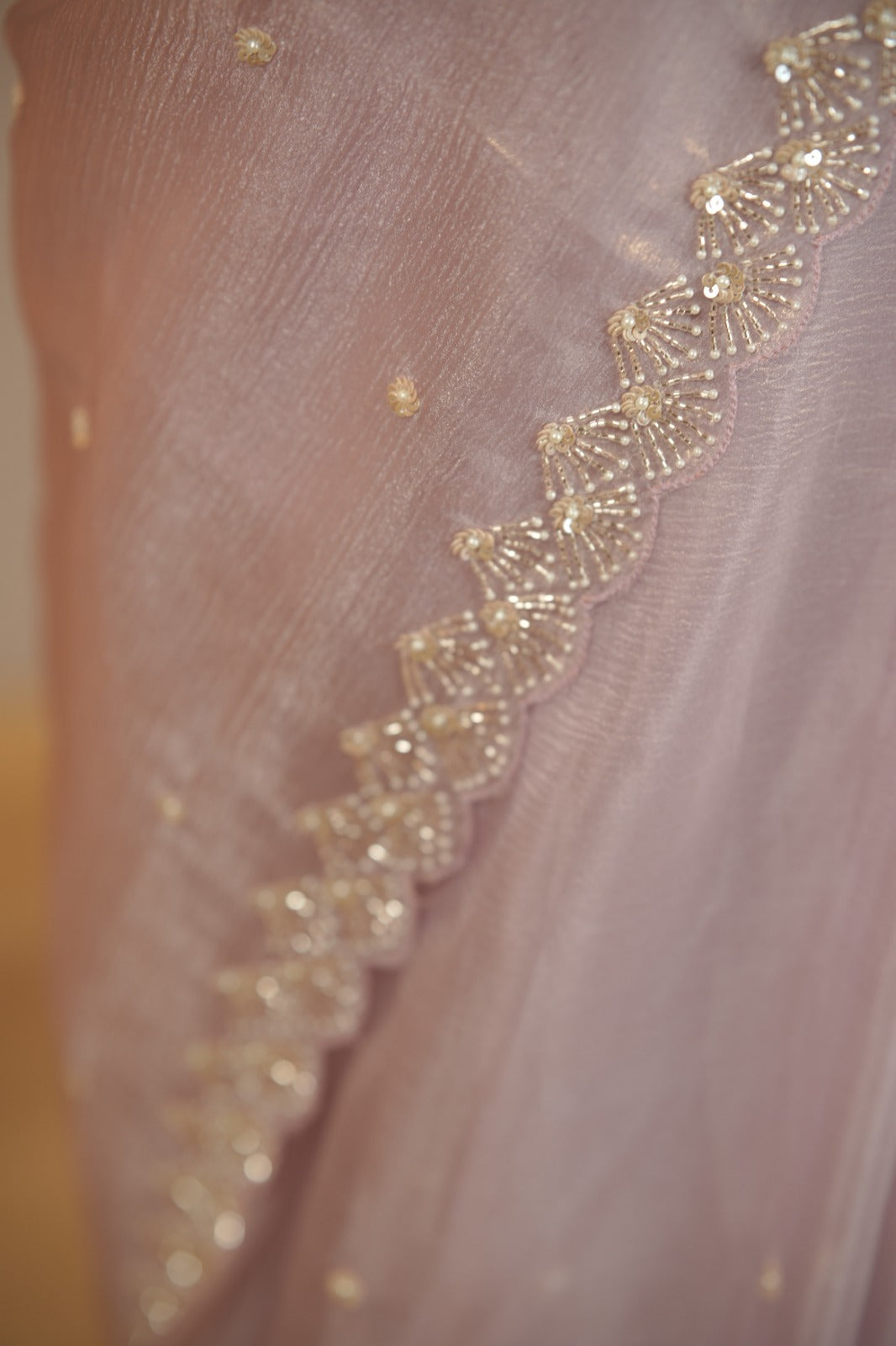 Crushed Shimmer Organza Saree TSA5694