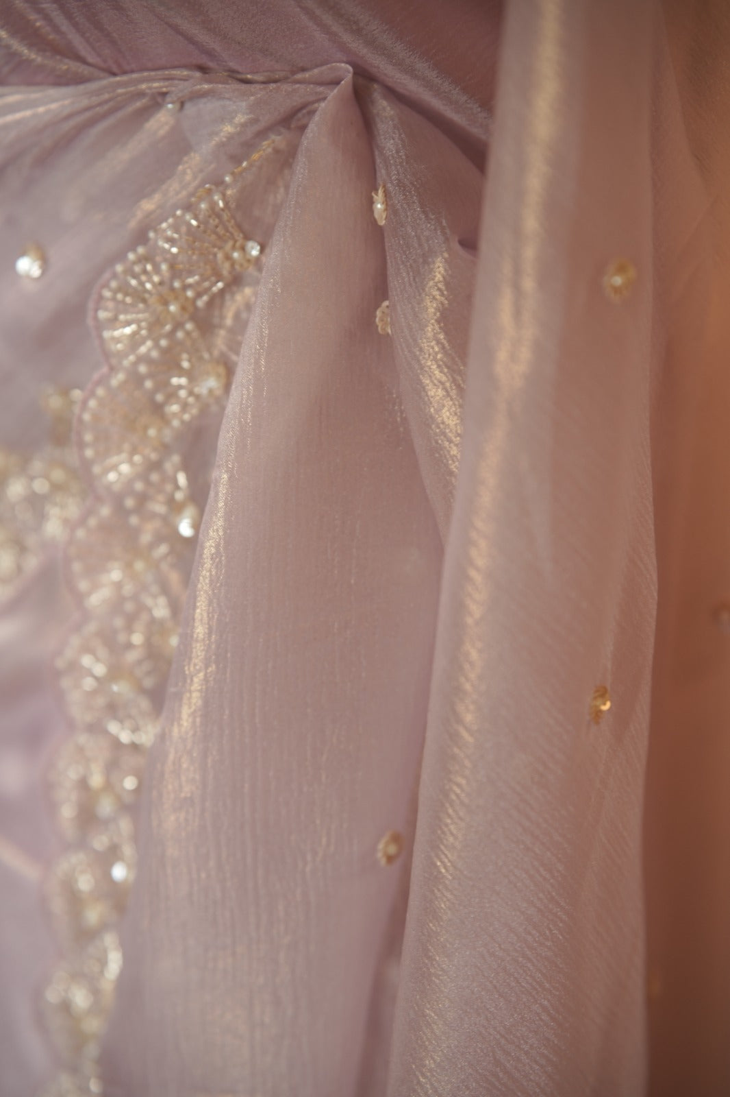 Crushed Shimmer Organza Saree TSA5694