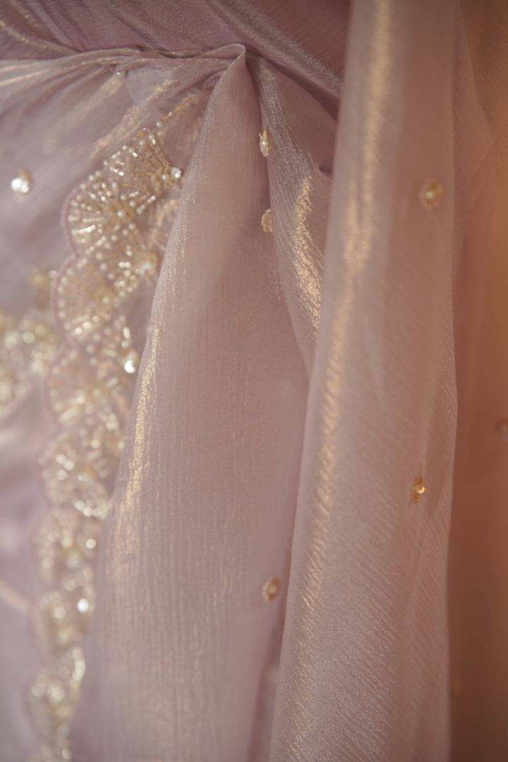 Crushed Shimmer Organza Saree TSA5694