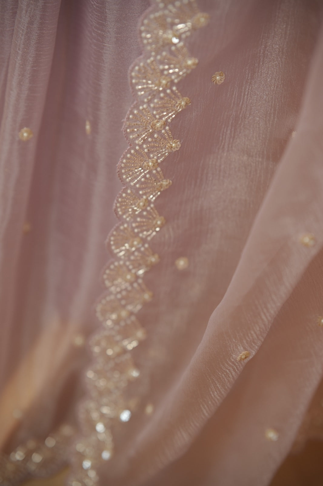 Crushed Shimmer Organza Saree TSA5694