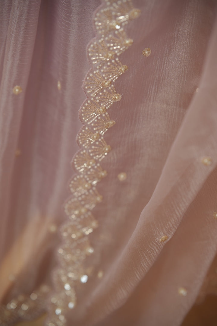 Crushed Shimmer Organza Saree TSA5694