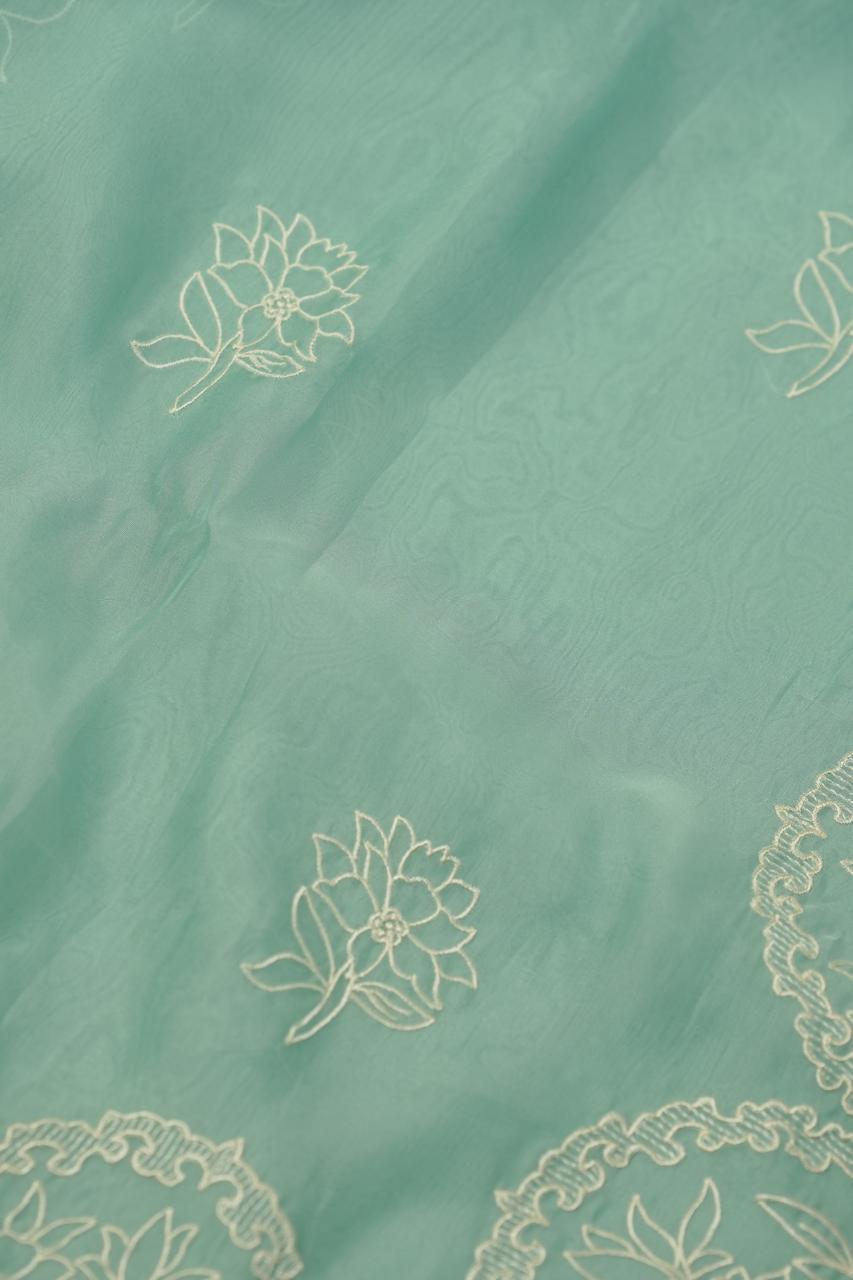 Organza Saree TSA01134
