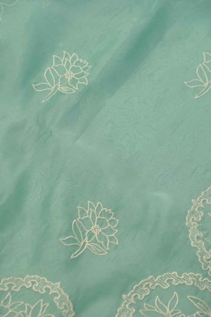 Organza Saree TSA01134