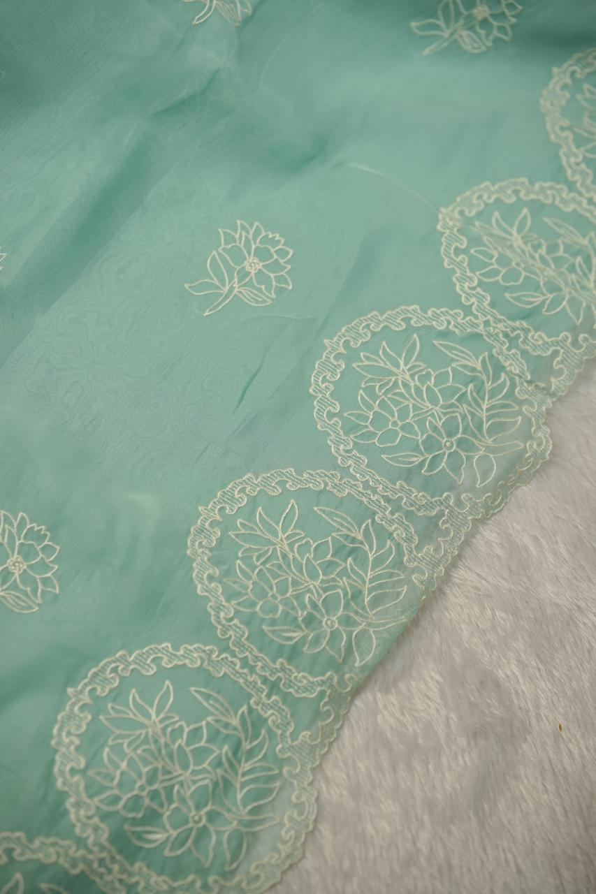 Organza Saree TSA01134
