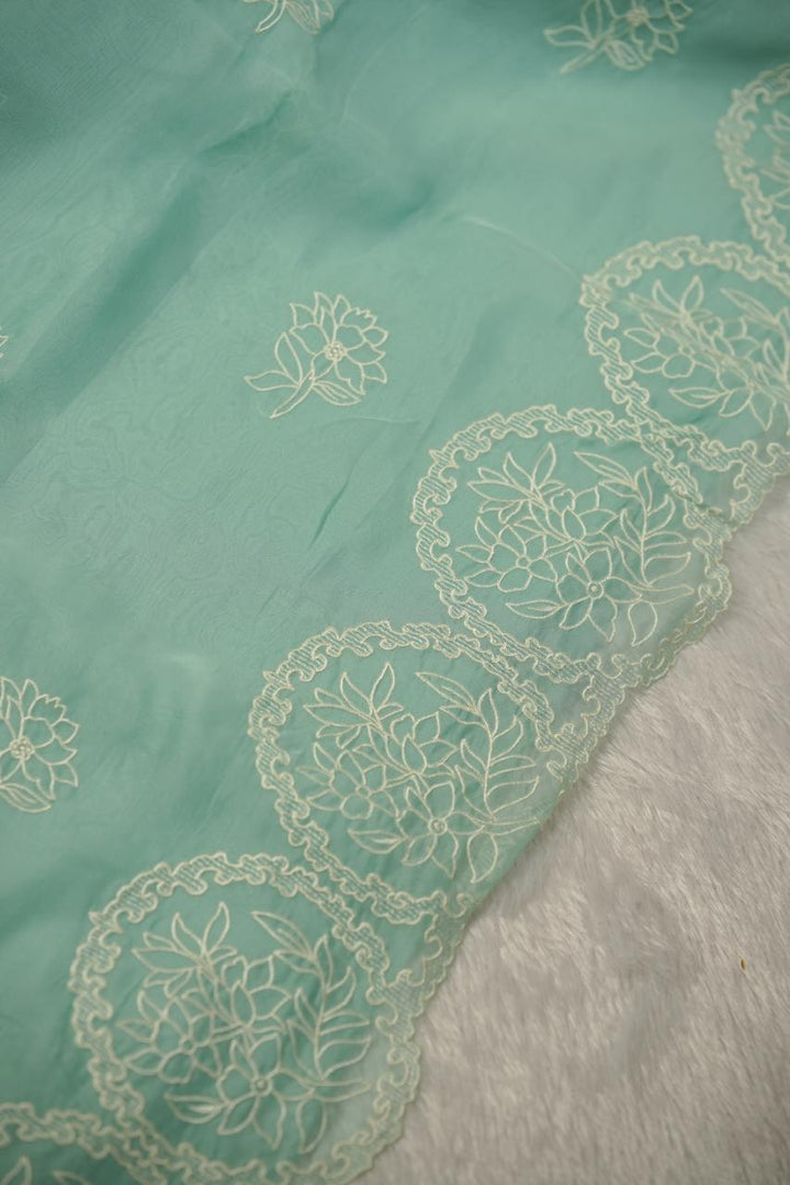 Organza Saree TSA01134