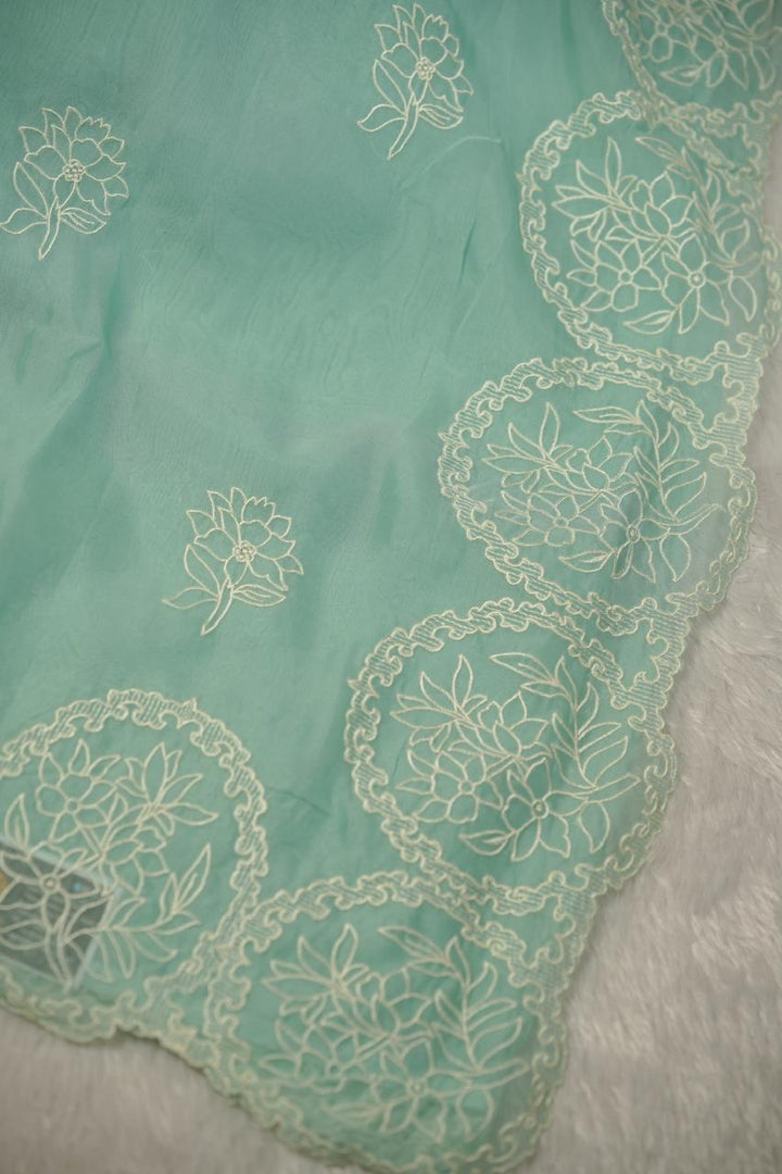 Organza Saree TSA01134