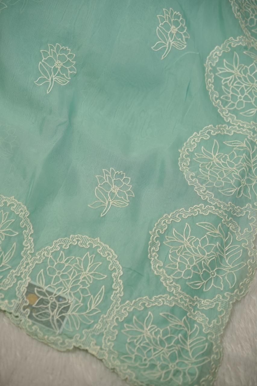 Organza Saree TSA01134