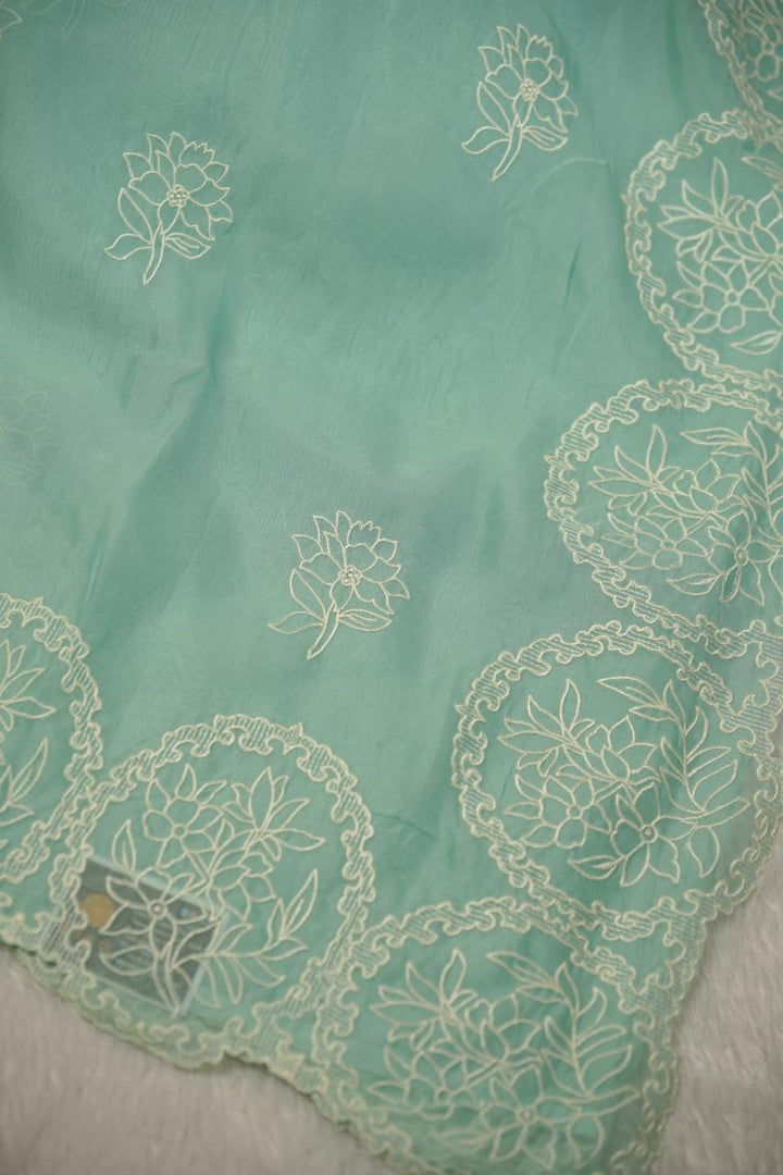 Organza Saree TSA01134