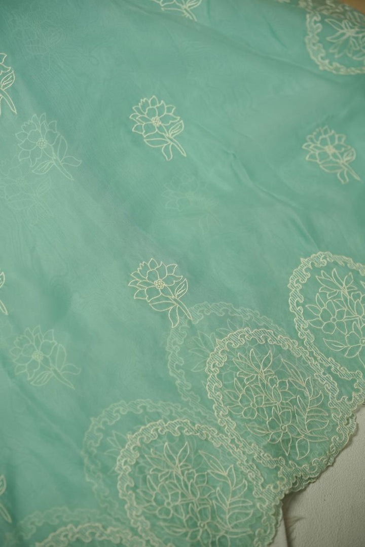 Organza Saree TSA01134