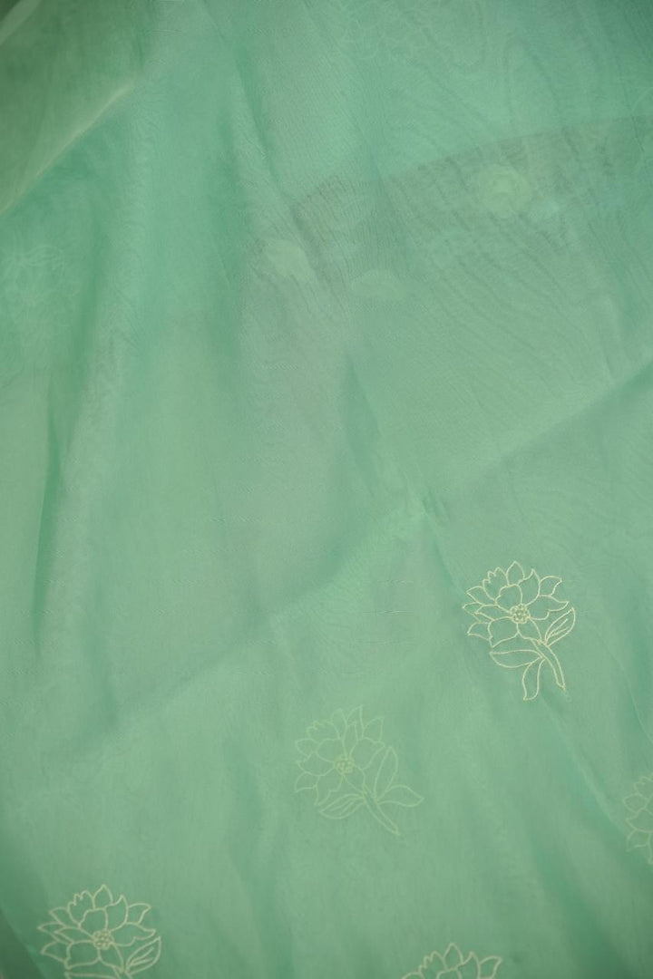 Organza Saree TSA01134