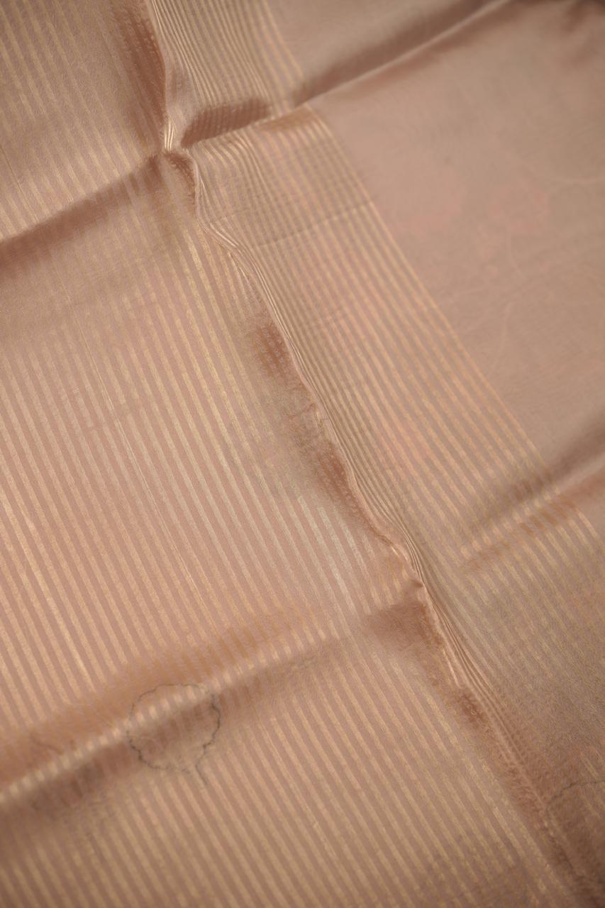 Organza Saree TSA01141