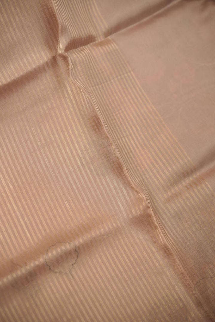 Organza Saree TSA01141