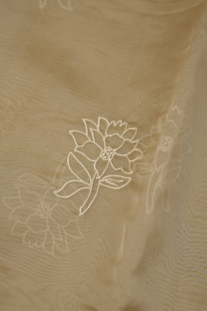 Organza Saree TSA01182