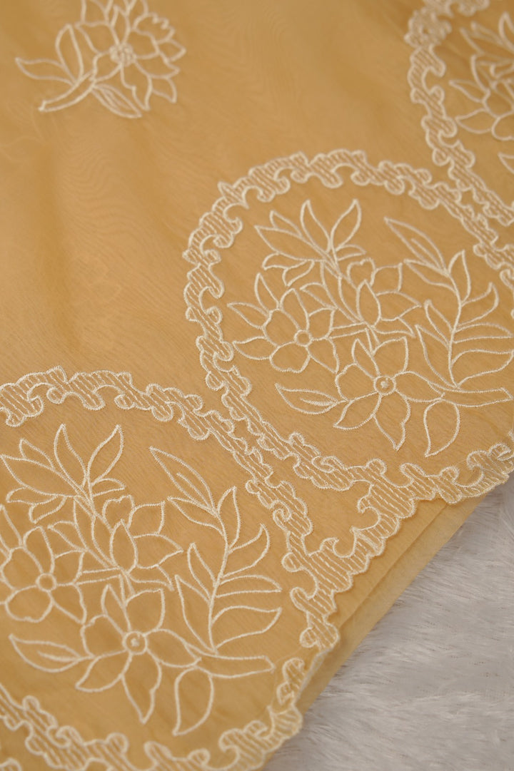 Organza Saree TSA01183