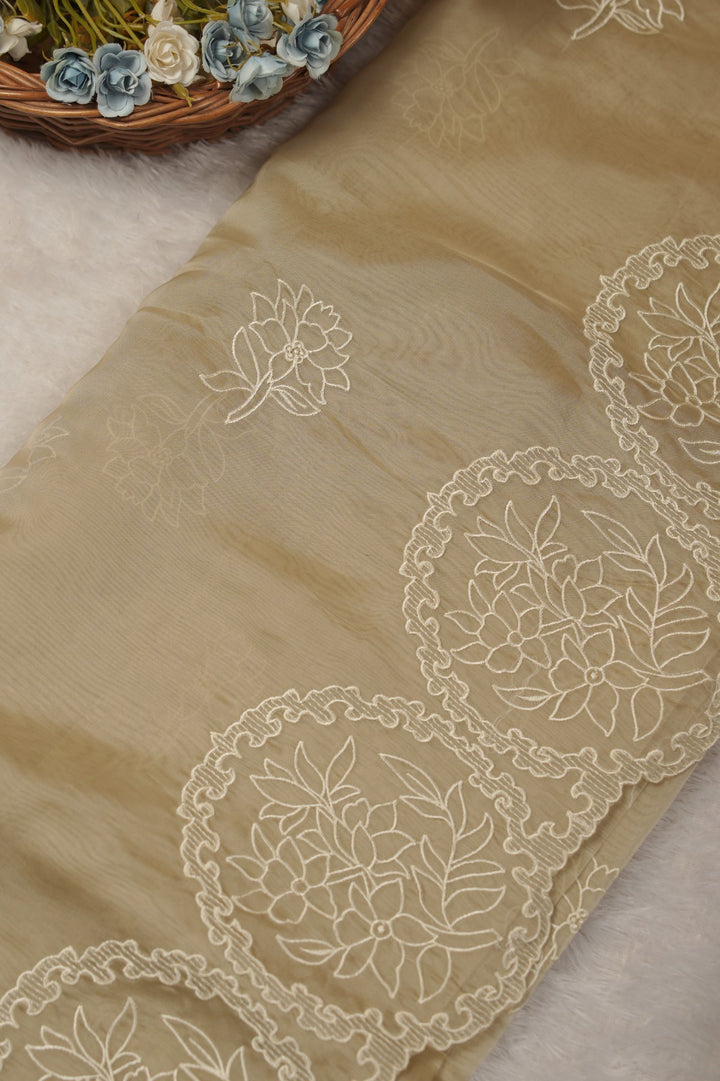 Organza Saree TSA01182