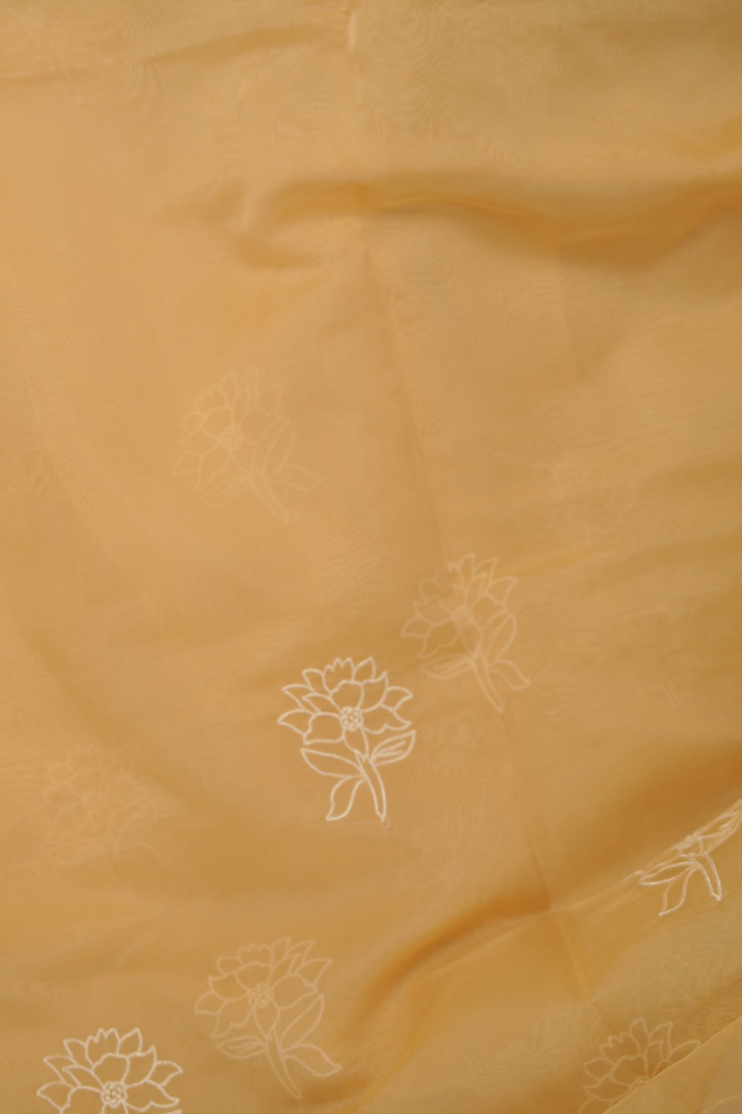 Organza Saree TSA01183