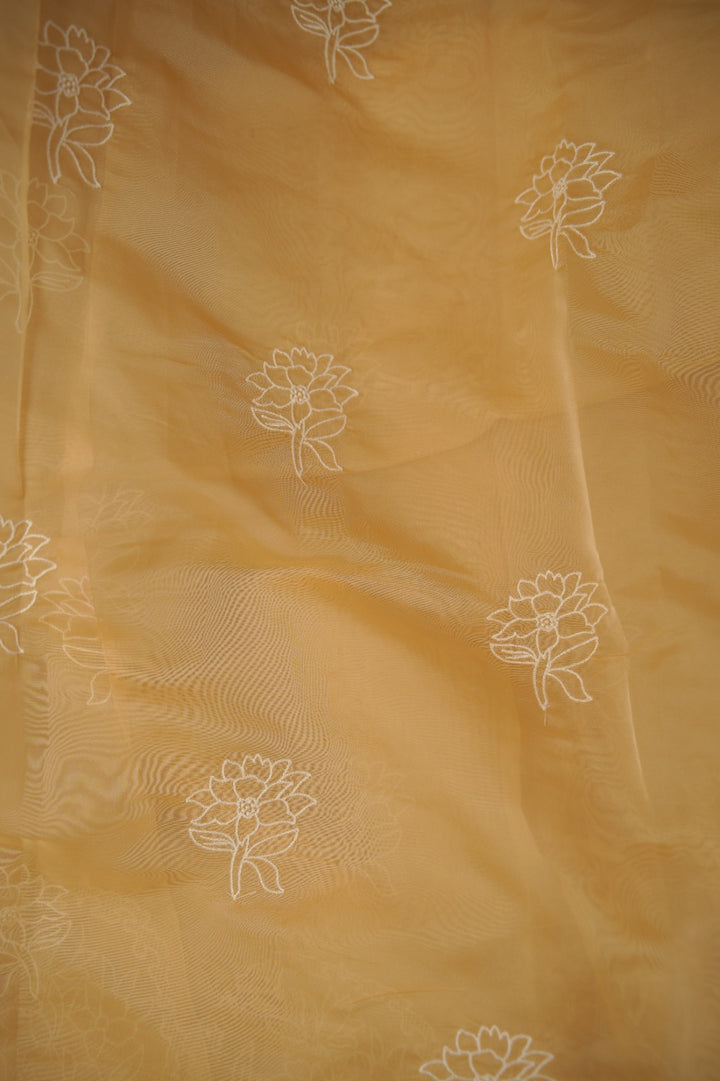 Organza Saree TSA01183