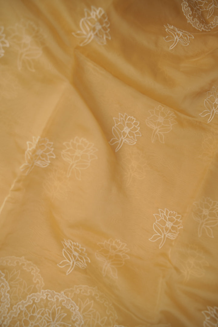Organza Saree TSA01183