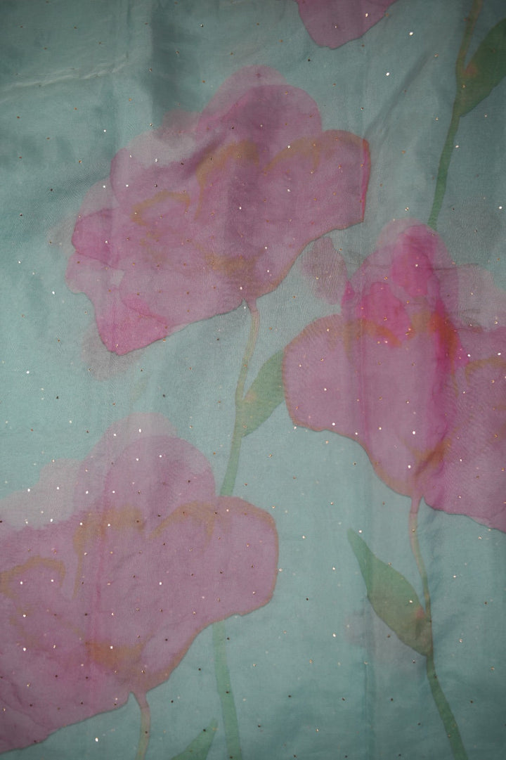 Nylon Organza Saree TSA01185