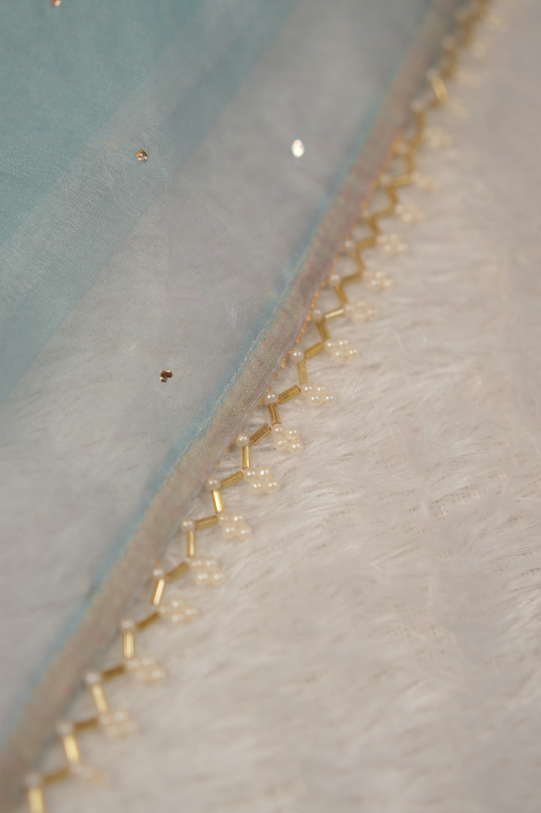 Nylon Organza Saree TSA01185