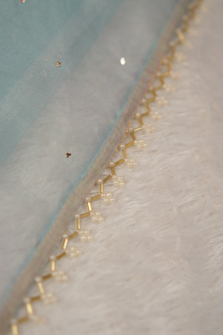 Nylon Organza Saree TSA01185